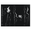 Load image into Gallery viewer, Silhouette Dancer