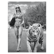Load image into Gallery viewer, Glamour Tiger