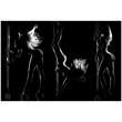 Load image into Gallery viewer, Silhouette Dancer (Poster)