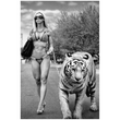 Load image into Gallery viewer, Glamour Tiger (Poster)