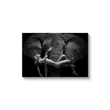 Load image into Gallery viewer, Tusks