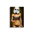 Load image into Gallery viewer, Sexy Trooper