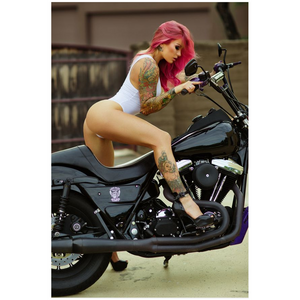 Pink Rider (Poster)