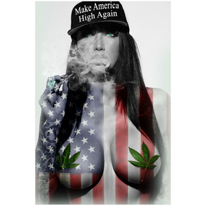 America High Again (Poster)